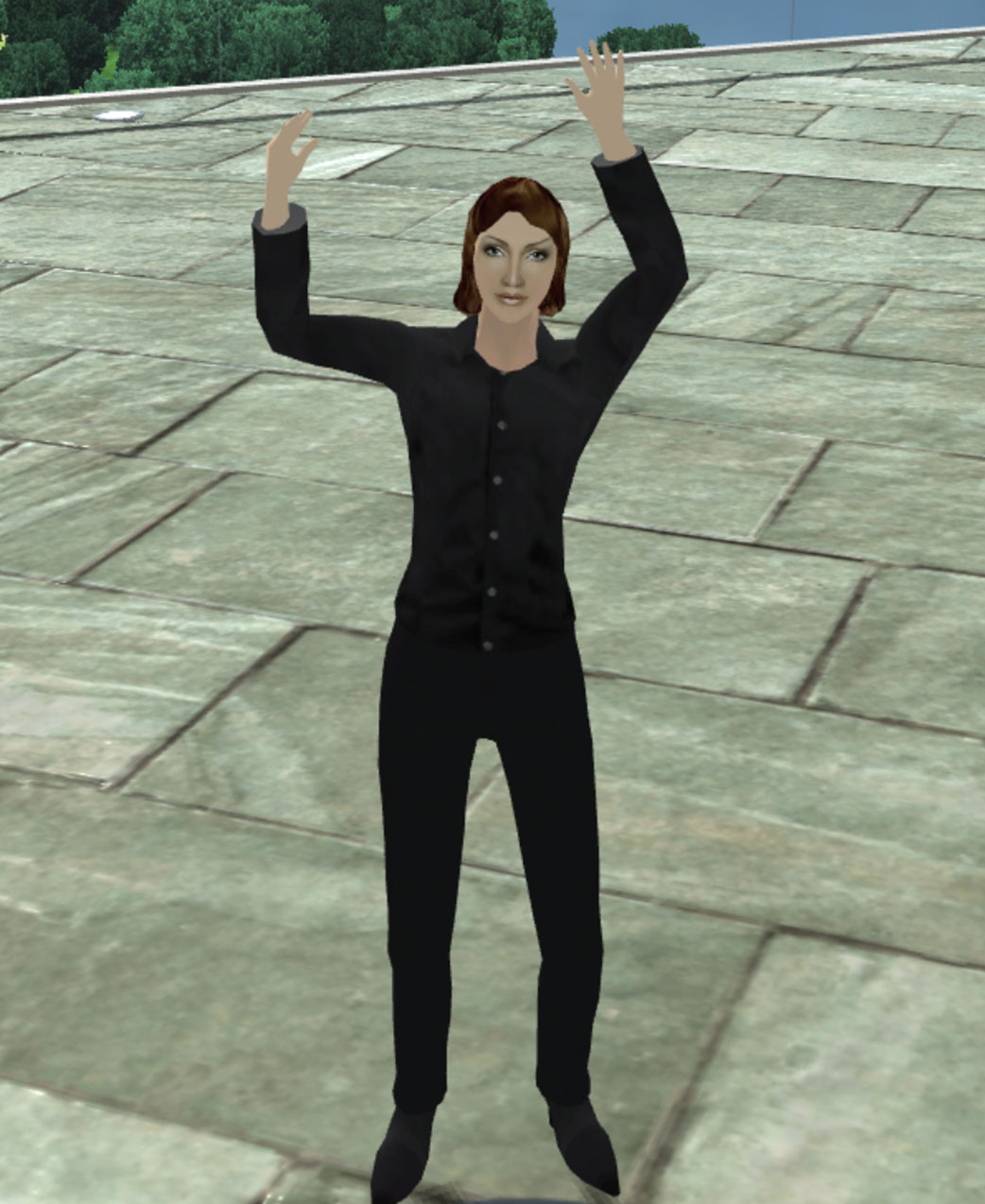 gesture6